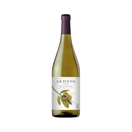 [PG101] Vino PASEANTE LA DUDA 2022 BLANCO 75cl